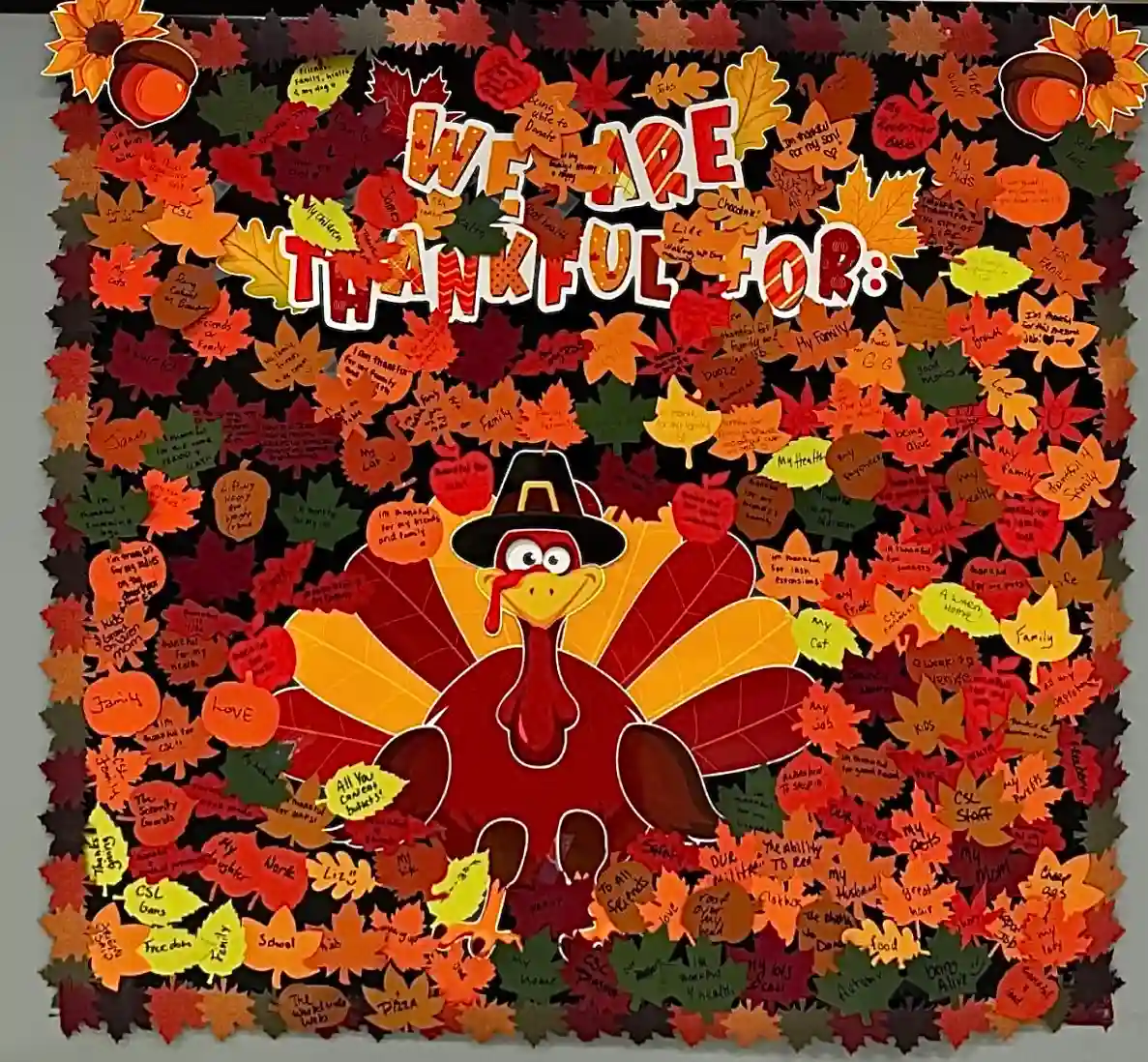 CSL Plasma Thankful Turkey Decor Wall